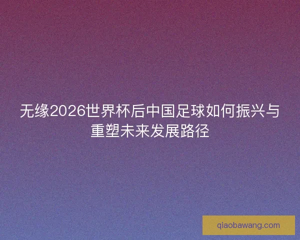 无缘2026世界杯后中国足球如何振兴与重塑未来发展路径